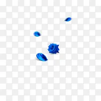 蓝色飘浮的玫瑰