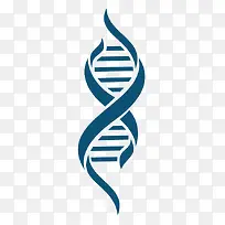 手绘蓝色DNA结构图png