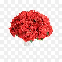 绣球花火团