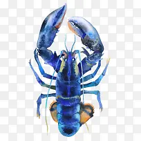 蓝色深海龙虾图案