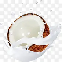 牛奶椰子壳