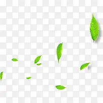 绿色创意高清飘扬的树叶