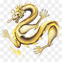 五爪金龙手绘中国风