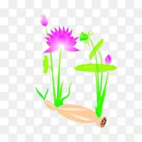 简约莲花家族