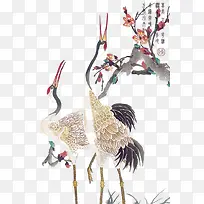 丹顶鹤