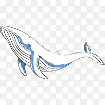 世界海洋日手绘白色鲸鱼