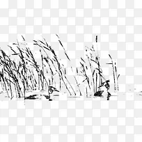 芦苇荡河塘旁野鸭子素描绘画