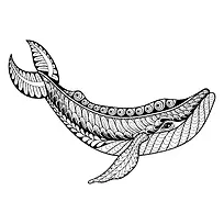 鲸鱼黑白图腾线稿