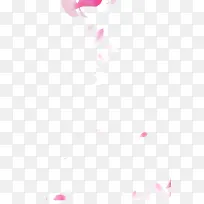 漂浮花瓣