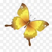 渐变黄色蝴蝶