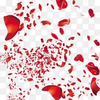 飘飞的红色花瓣