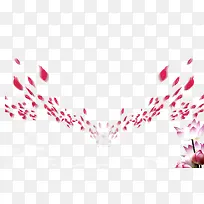 花瓣素材背景