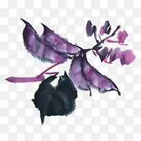 紫色梅豆