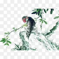 中国风水墨彩绘树枝和猴子免抠
