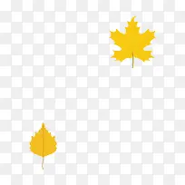 两片黄色的落叶