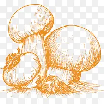 一堆蘑菇