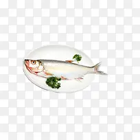 碗里白鲢鱼图下载