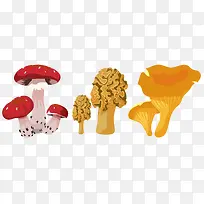 蘑菇松茸菌类