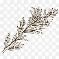 手绘香茅免抠PNG