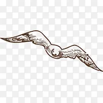 素描展翅高飞的海燕