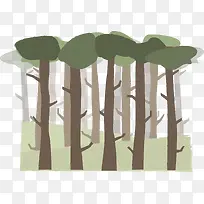 阴森森林