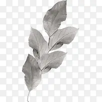 枯树叶