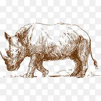 素描棕色犀牛