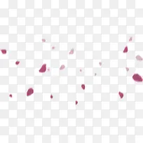 飘落的紫色花瓣海报背景七夕情人节