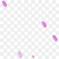 粉紫色飘落花瓣