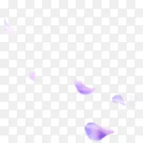 淡紫色花瓣飘落