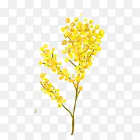 水彩画黄色花朵