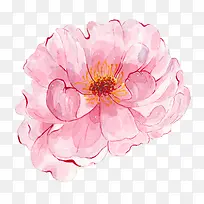 粉色手绘花朵素材