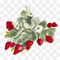 草莓藤蔓上的草莓