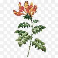 手绘花饰手绘花饰图标 卡通手绘