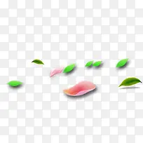 绿叶，花瓣