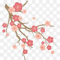 粉色中国风花枝植物
