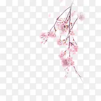 粉色桃花装饰图案