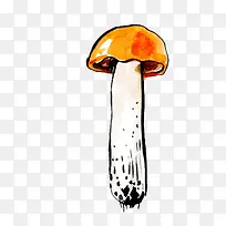 矢量手绘水彩插画蘑菇