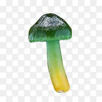 绿色蘑菇图片素材