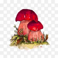 矢量水彩手绘蘑菇
