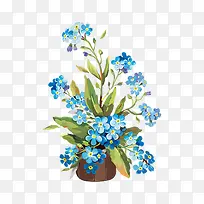 花瓶里的蓝色小花朵