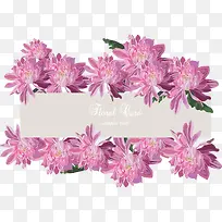 深粉色菊花边框
