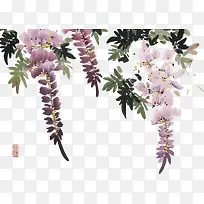 手绘紫藤