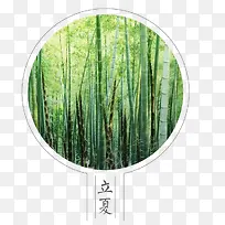 二十四节气立夏宣传海报