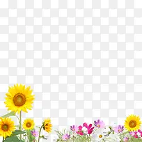 花元素