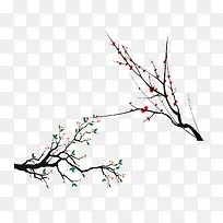 中国寒冬腊梅和花骨朵