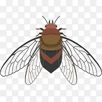 翅膀类会飞的写实昆虫