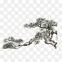 中国风水墨国画松树