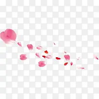 粉红色的花瓣飘落