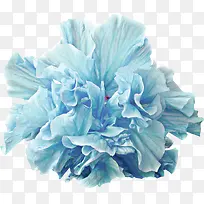 青蓝色鲜花